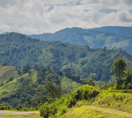 Imagen de la página de cronologia de Pipe Cordoba