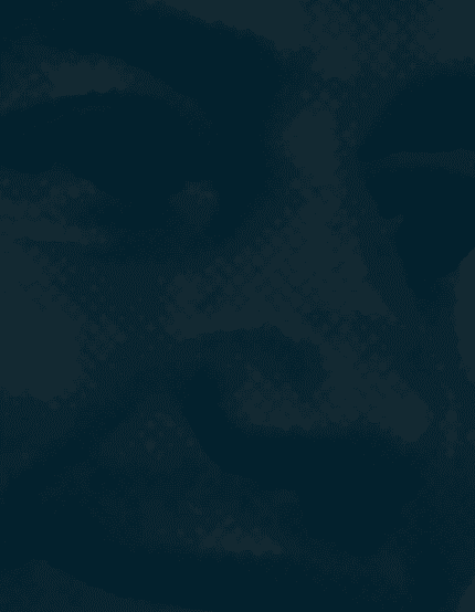 Fondo de la sección Desde 2003